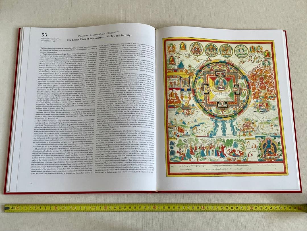 洋書 Tibetan Medical Paintings