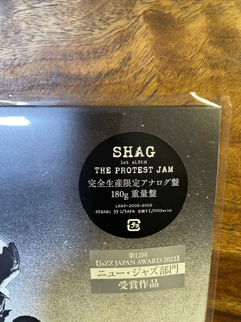 THE PROTEST JAM【アナログ盤】 SHAG LP盤　SUGIZO
