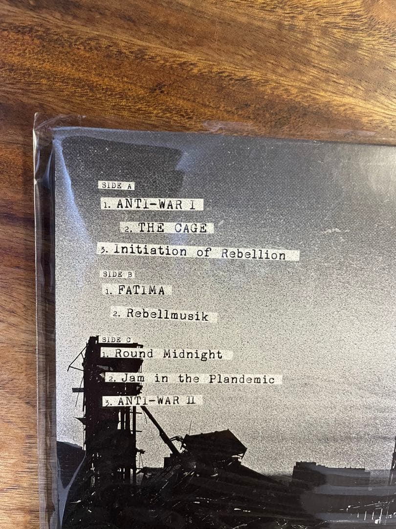 THE PROTEST JAM【アナログ盤】 SHAG LP盤　SUGIZO