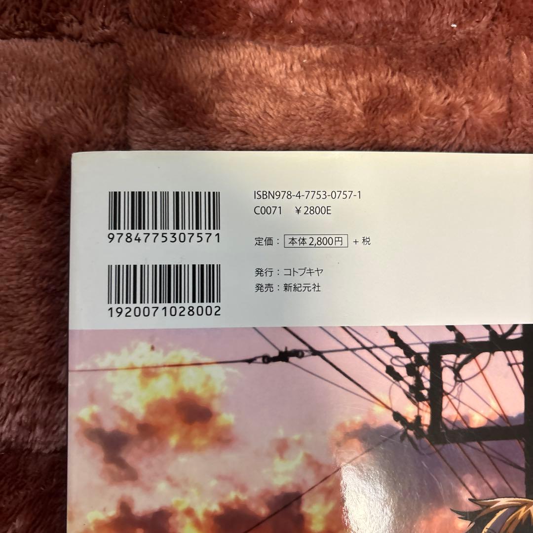 その他 Borderless : Visual art works