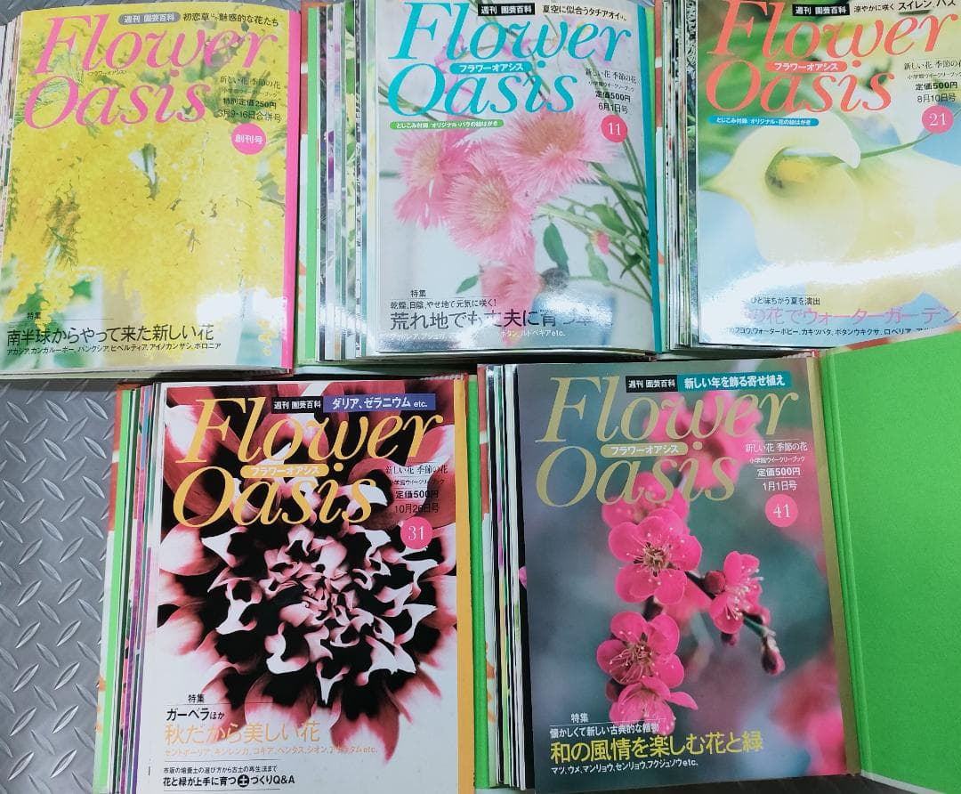 Flower Oasis 全5巻セット52冊　週刊・園芸百科　小学館