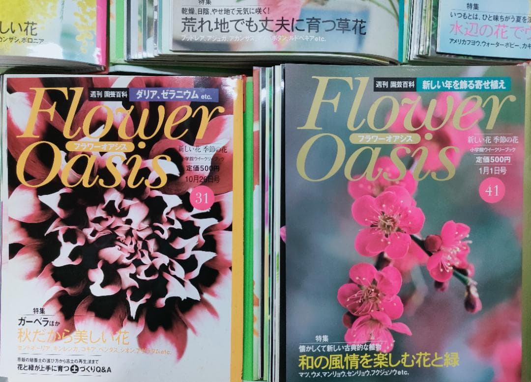 Flower Oasis 全5巻セット52冊　週刊・園芸百科　小学館