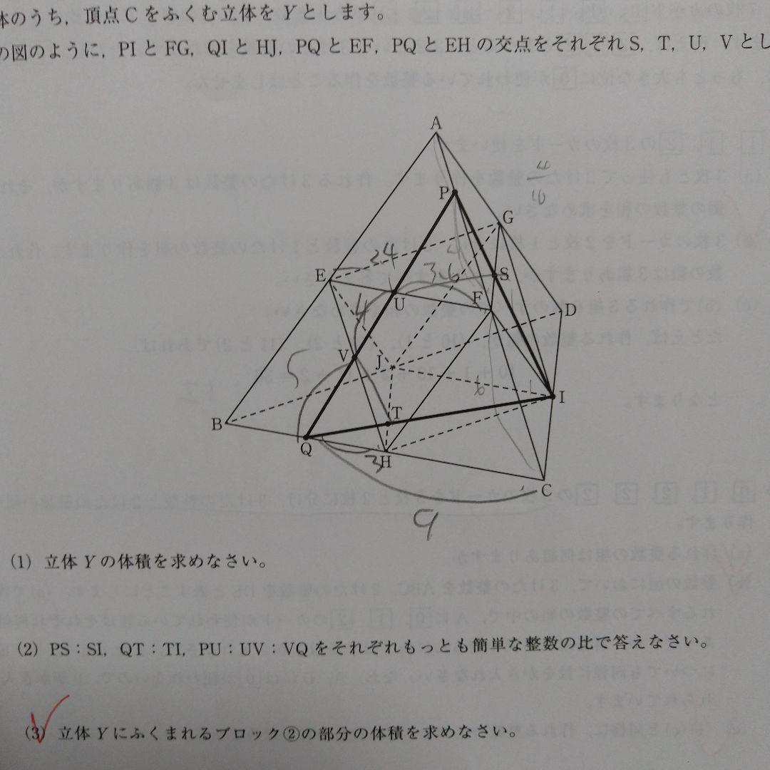 最新2025年度　学校別サピックスオープン　開成　2回分