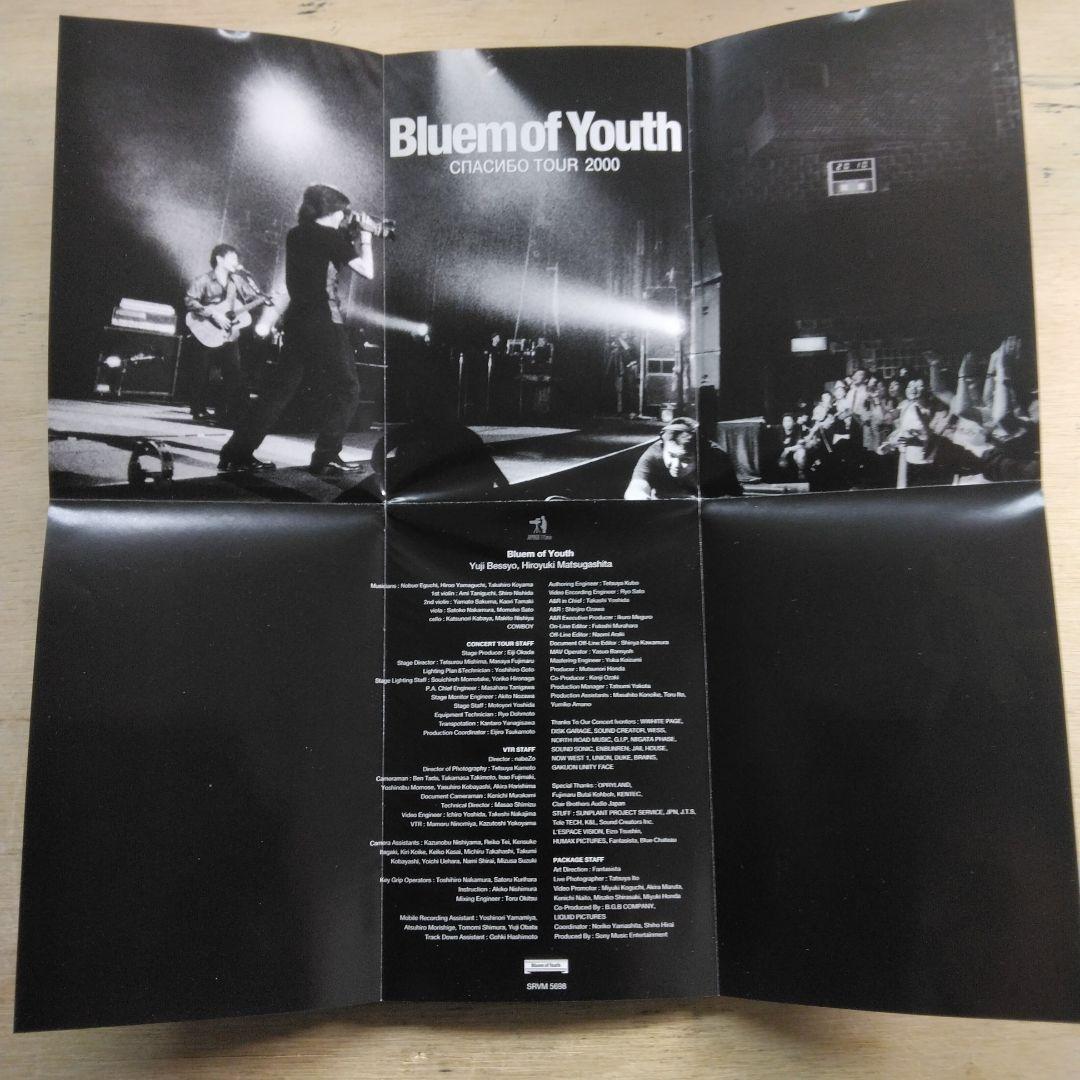 Bluem of youth　TOUR2000　VHS