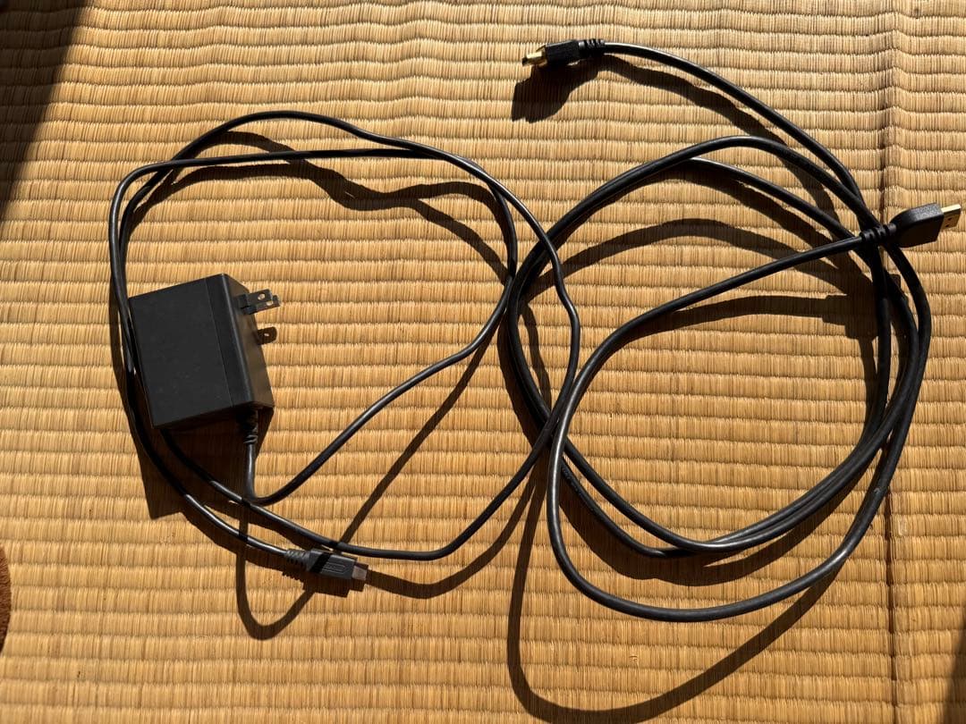Nintendo Switch 紫とオレンジ