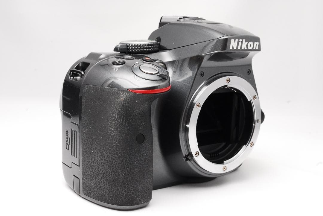 スマホ転送OK♥希少なグレー♥ダブルズーム♥ Nikon D5300