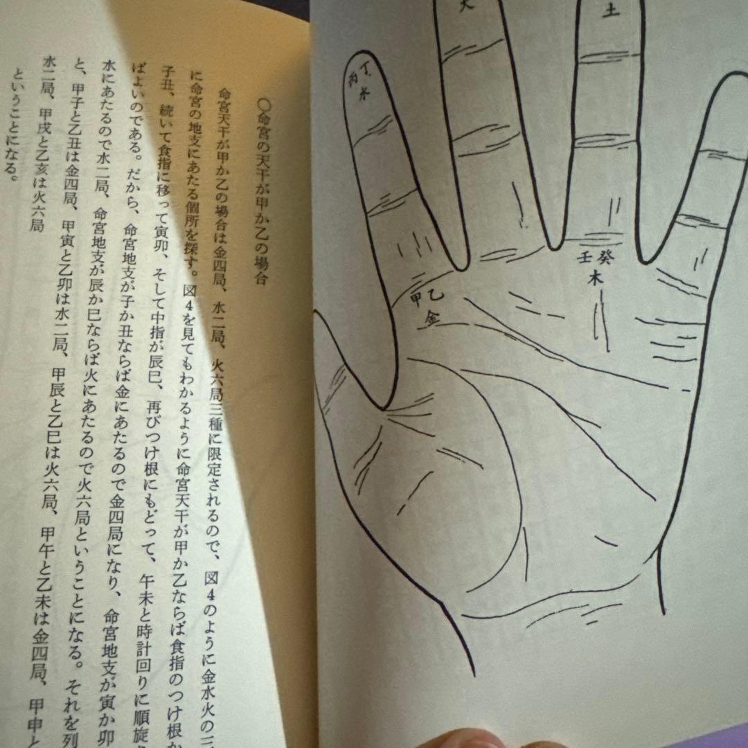 飛星紫微斗数闡秘