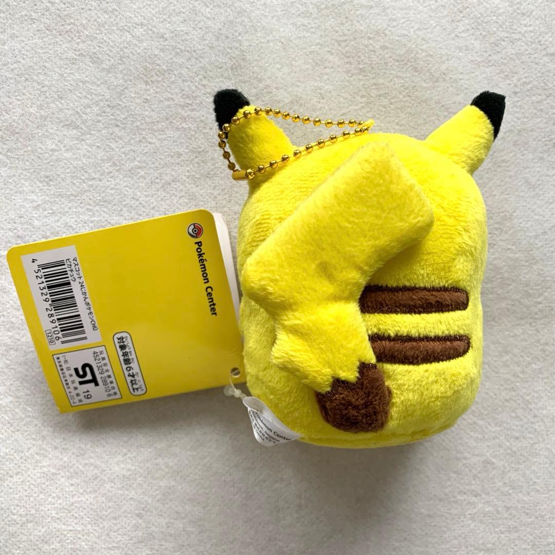 ナガノ ポケモン ピカチュウ ぬいぐるみ