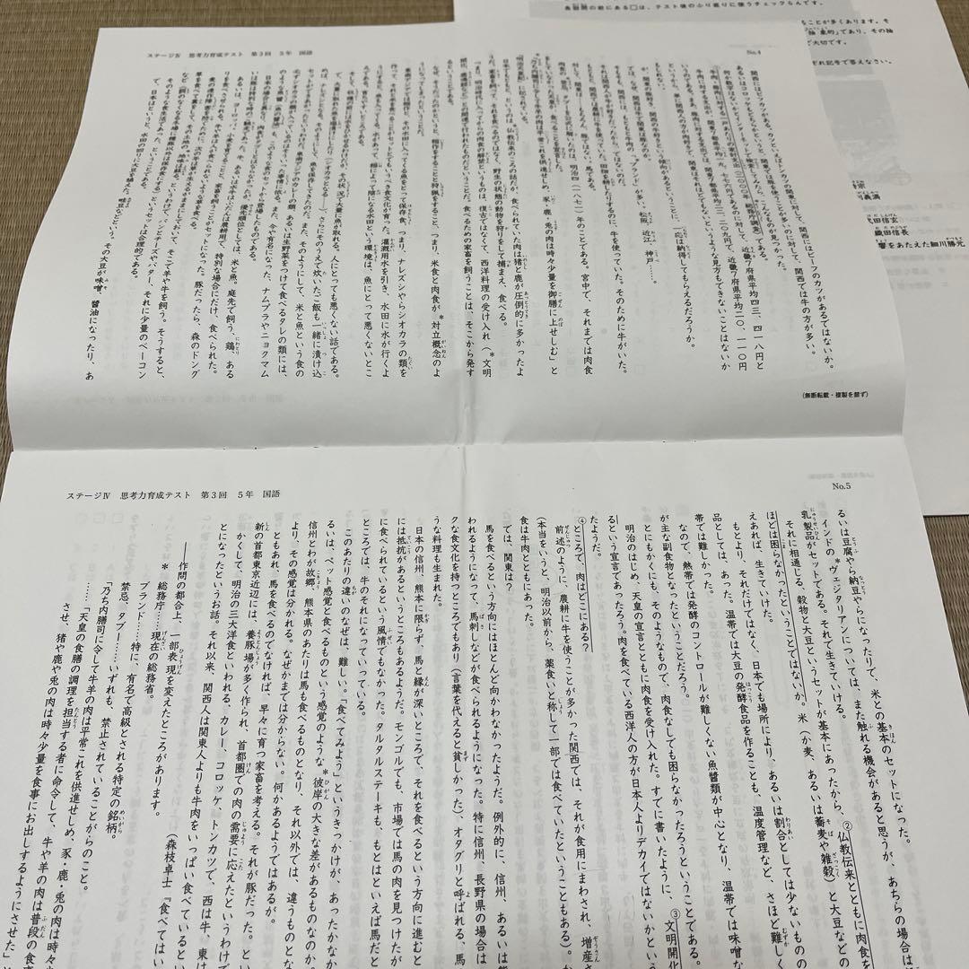 2025年 日能研 5年 ステージⅣ 思考力育成テスト❶〜❺
