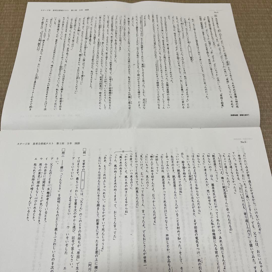 2025年 日能研 5年 ステージⅣ 思考力育成テスト❶〜❺