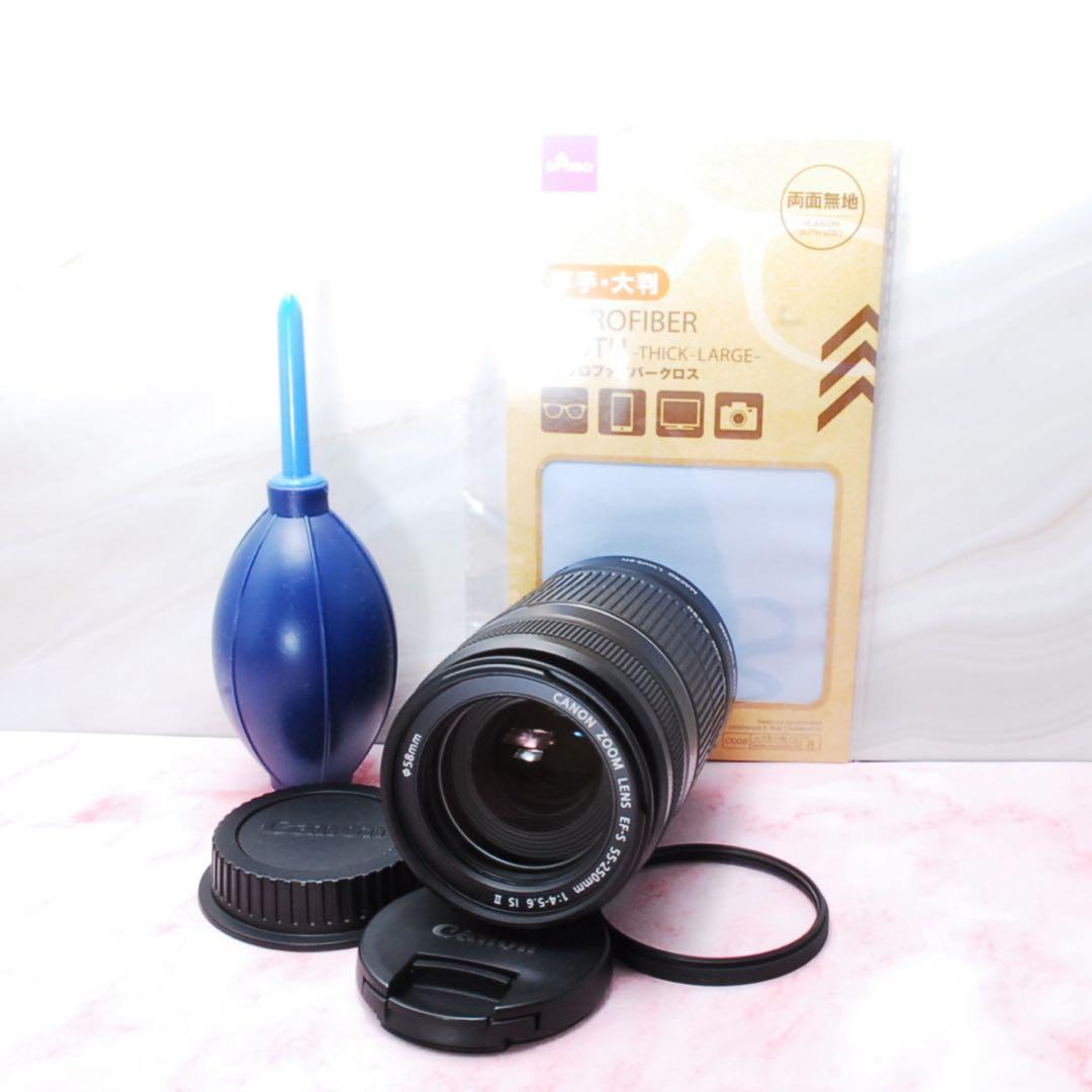 美品❤️Canon EF-S 55-250mm IS II★望遠レンズ★