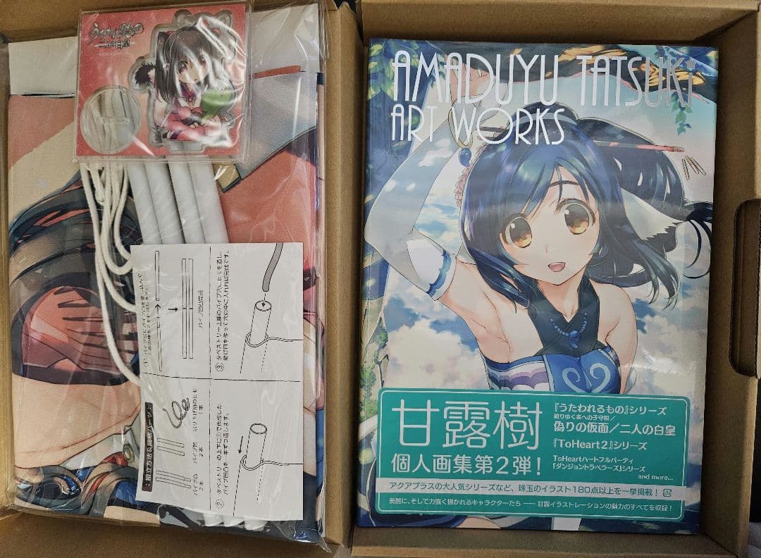 新品 甘露樹画集　限定版　アクアプラス