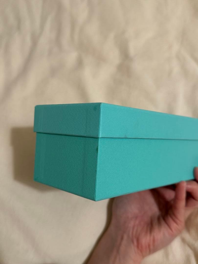 あお　Tiffany & Co. サングラス