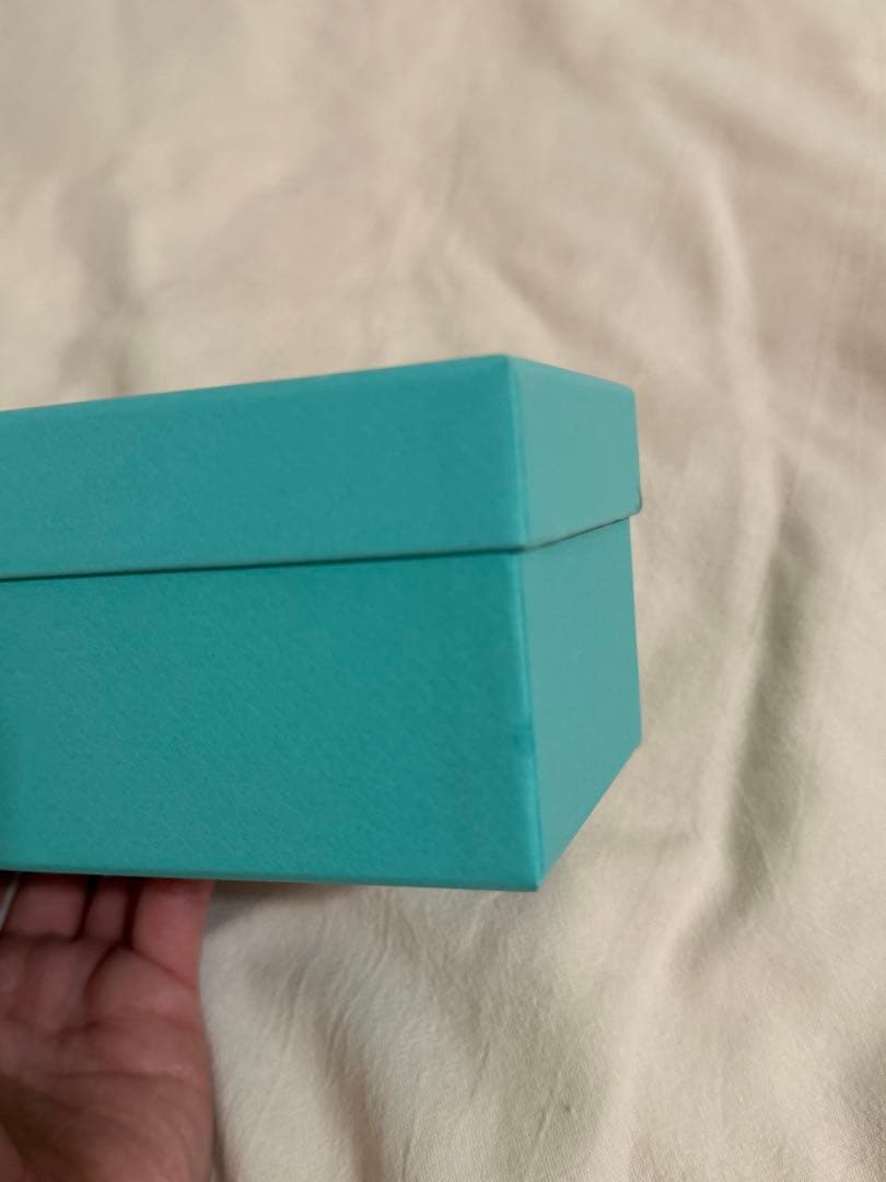 あお　Tiffany & Co. サングラス