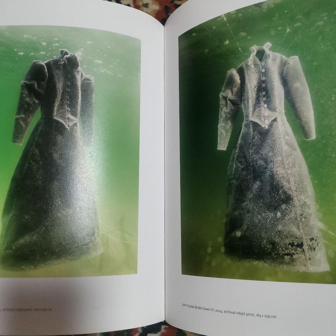 アート・デザイン・音楽 Sigalit Landau Salt Years