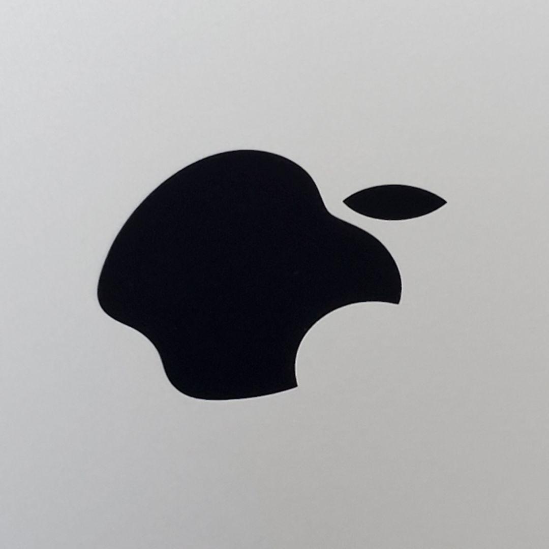 【極美品】iPad Air 2 Wi-Fi + Cellular 64GB