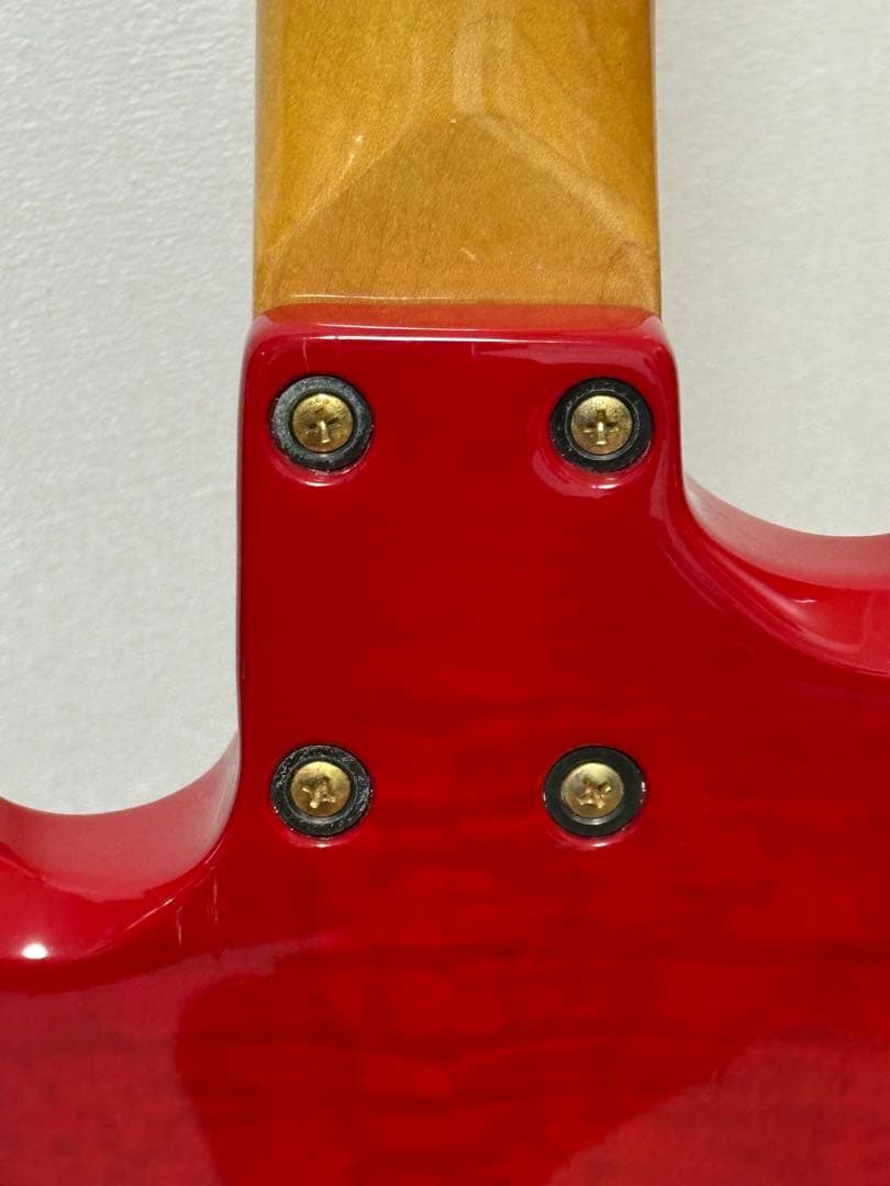 ギター FERNANDES Burny hide MG-85X