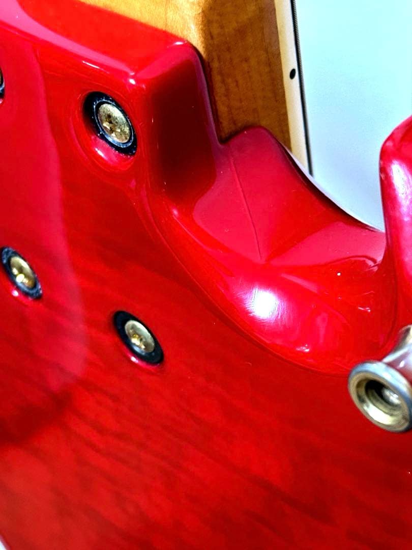 ギター FERNANDES Burny hide MG-85X