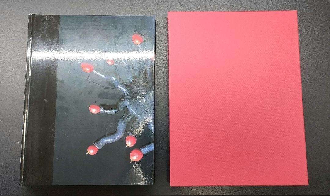 【美品・希少本】 花伝 長井理一と花の旅人作品集Ⅲ 資料集 華道 共栄印刷