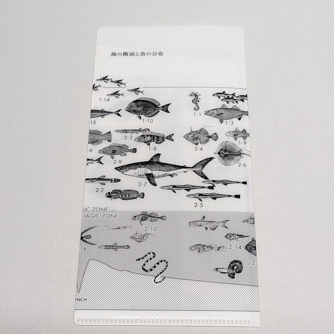 サカナクション CD Blu-ray 魚図鑑 チケットホルダー