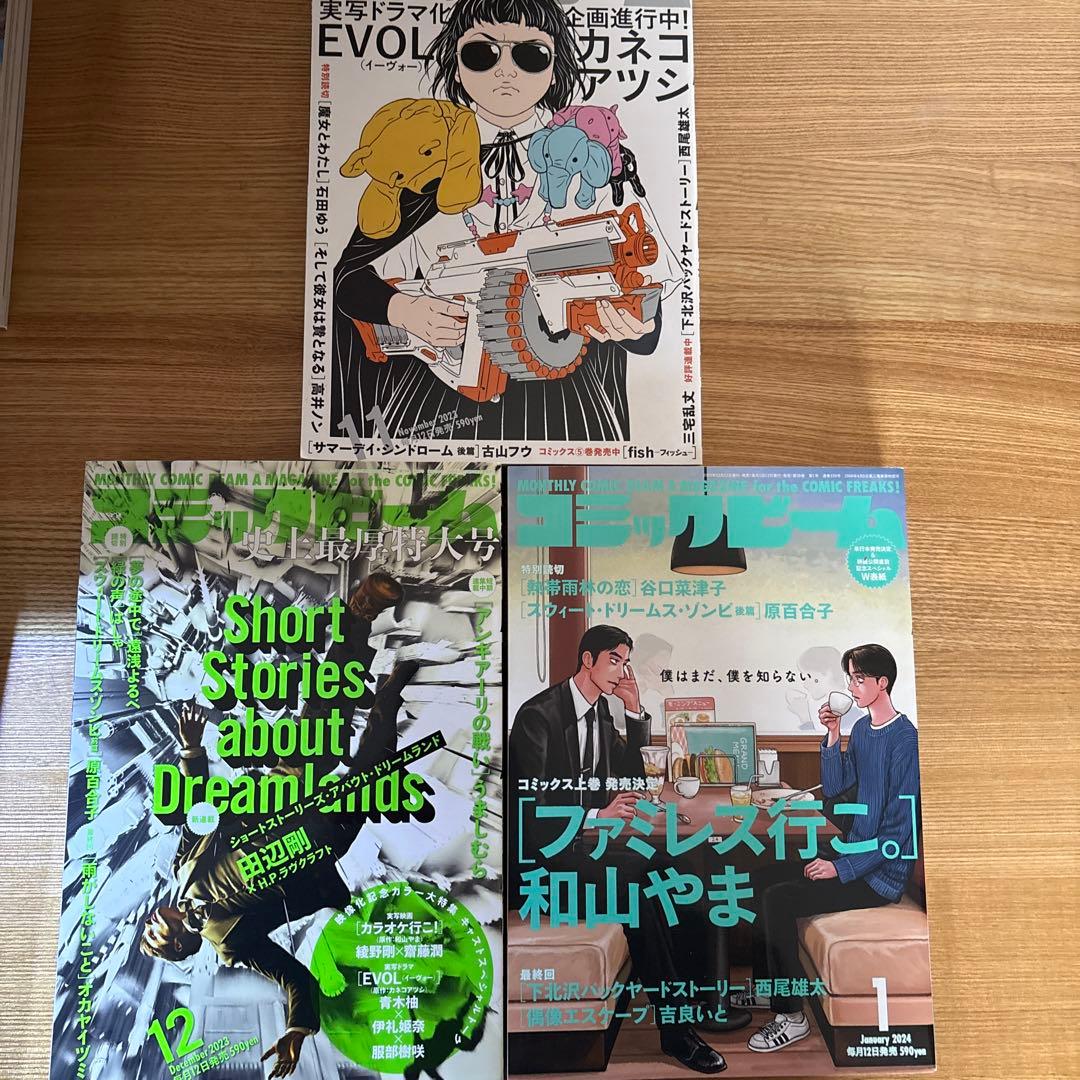 コミックビーム2023年5月号〜2025年2月号（高妍連載）21冊