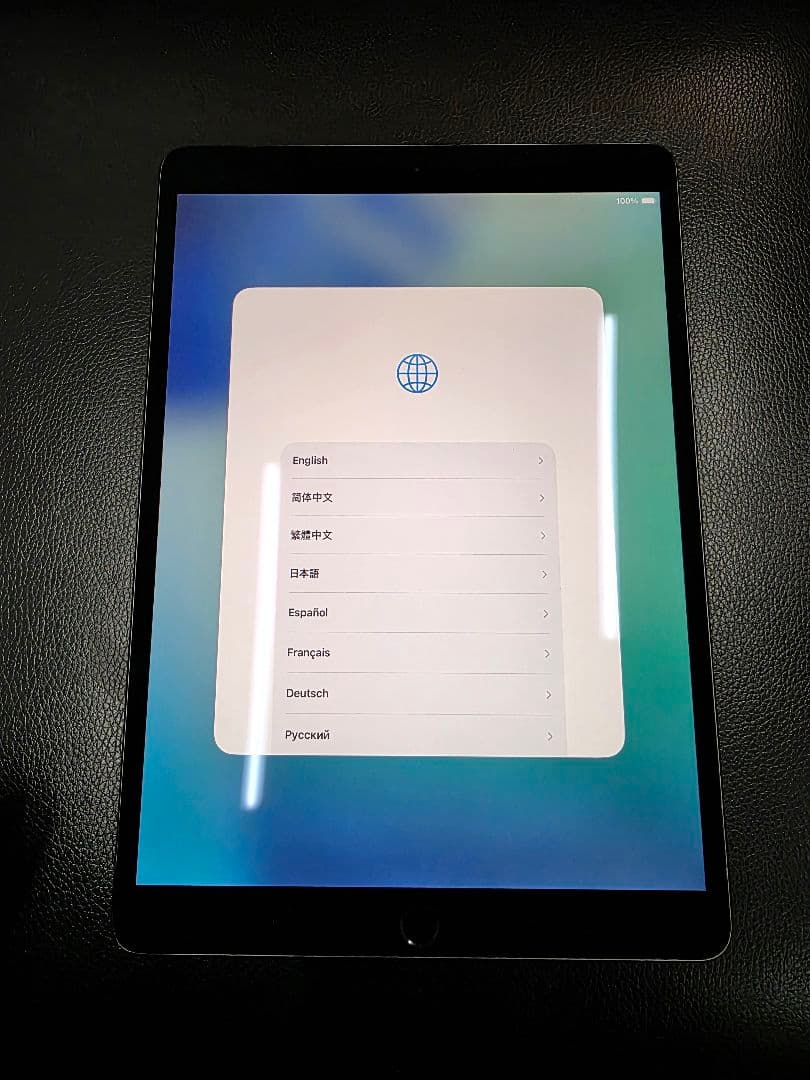 iPad Ari3本体のみ