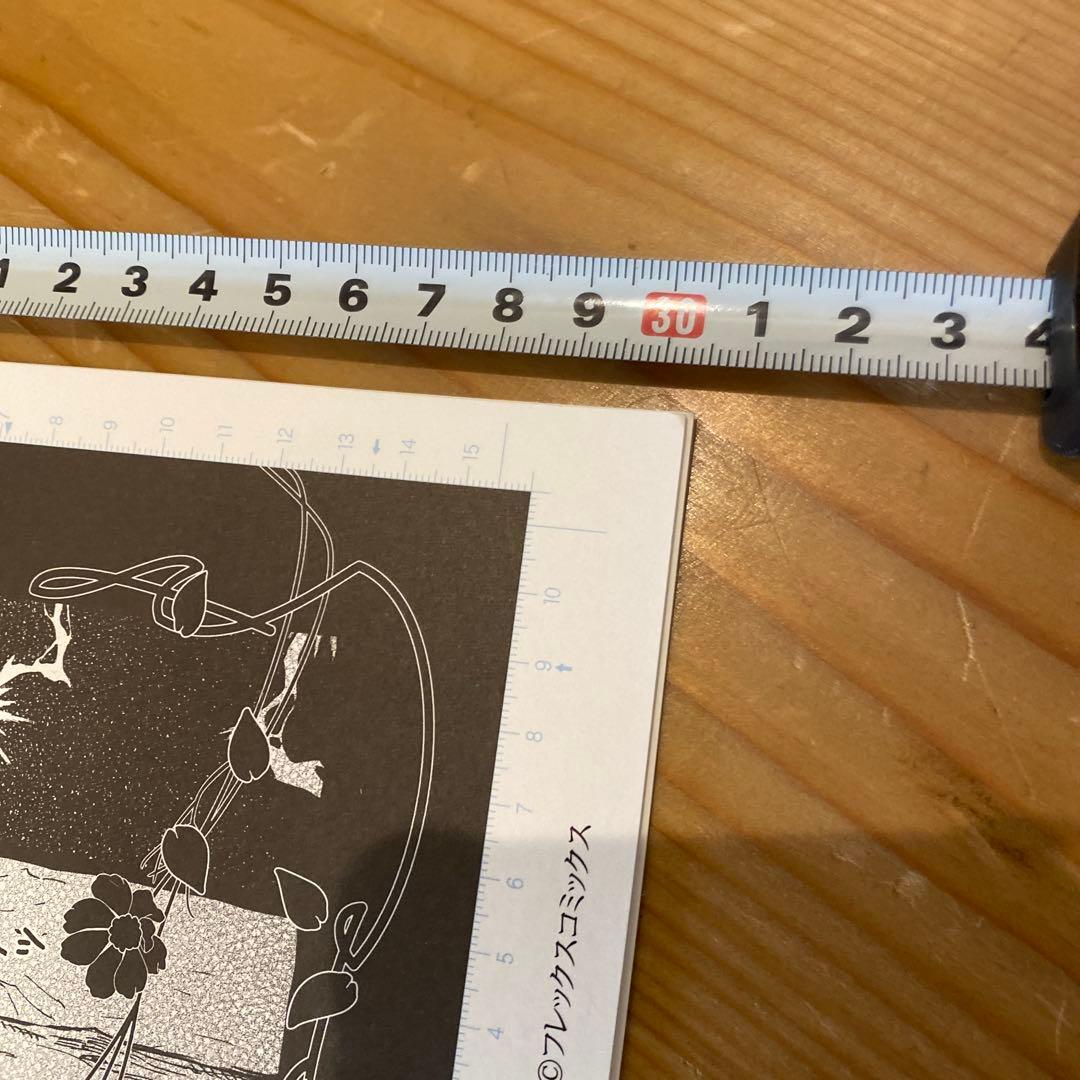 ニーナさんの魔法生活　複製原画　2枚