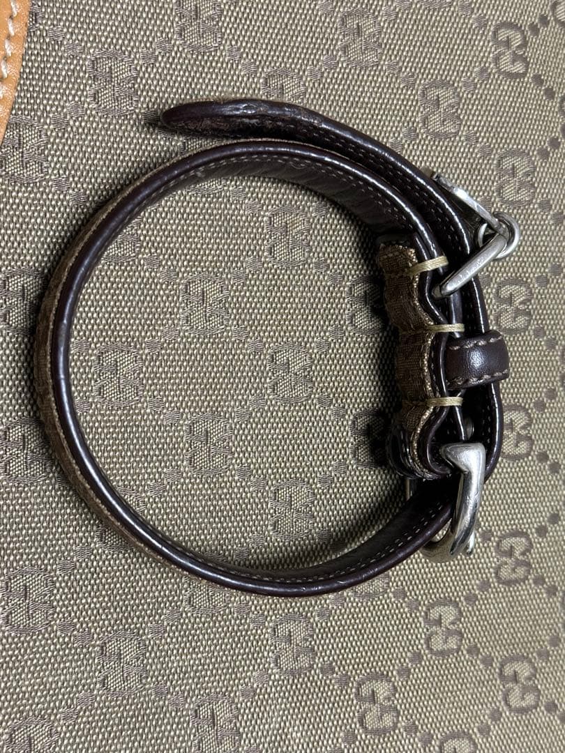coach 犬首輪、リードセット　今だけ！最終値下げ♪