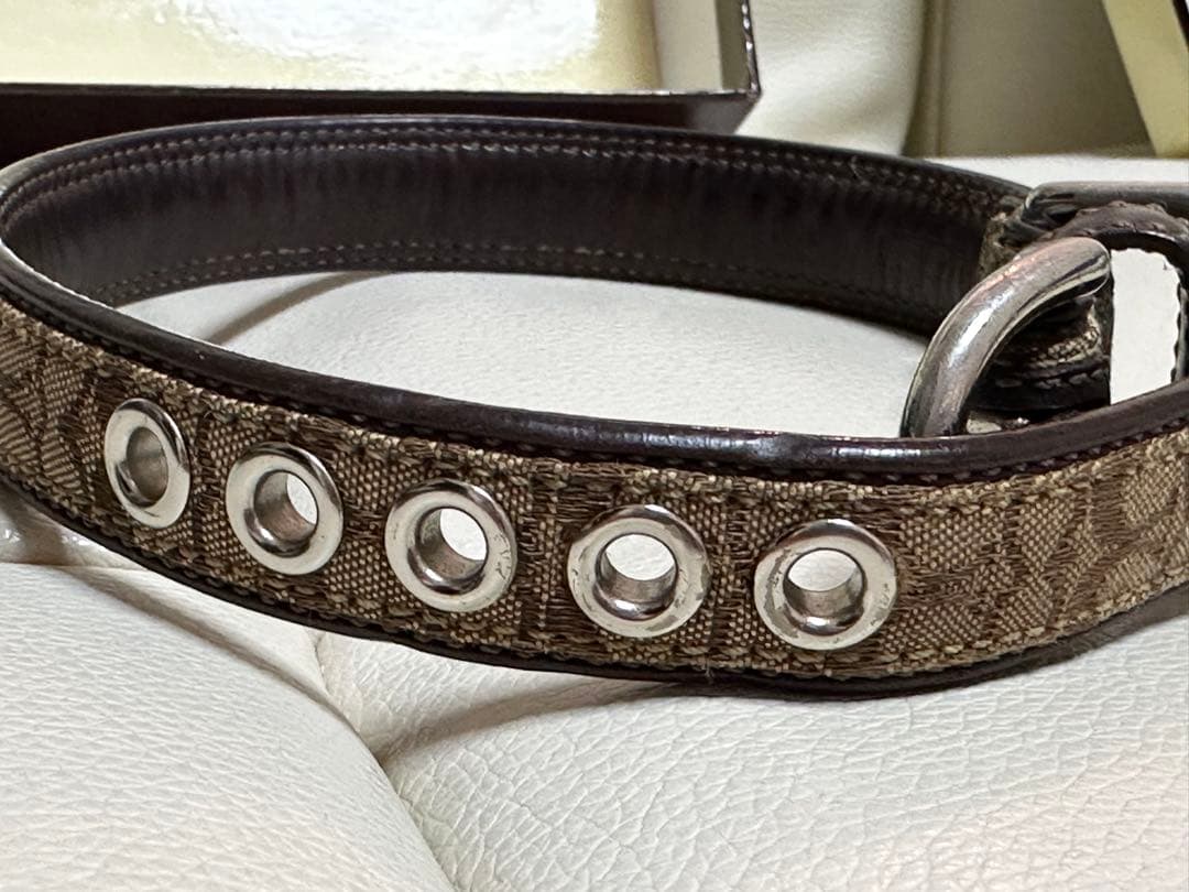 coach 犬首輪、リードセット　今だけ！最終値下げ♪