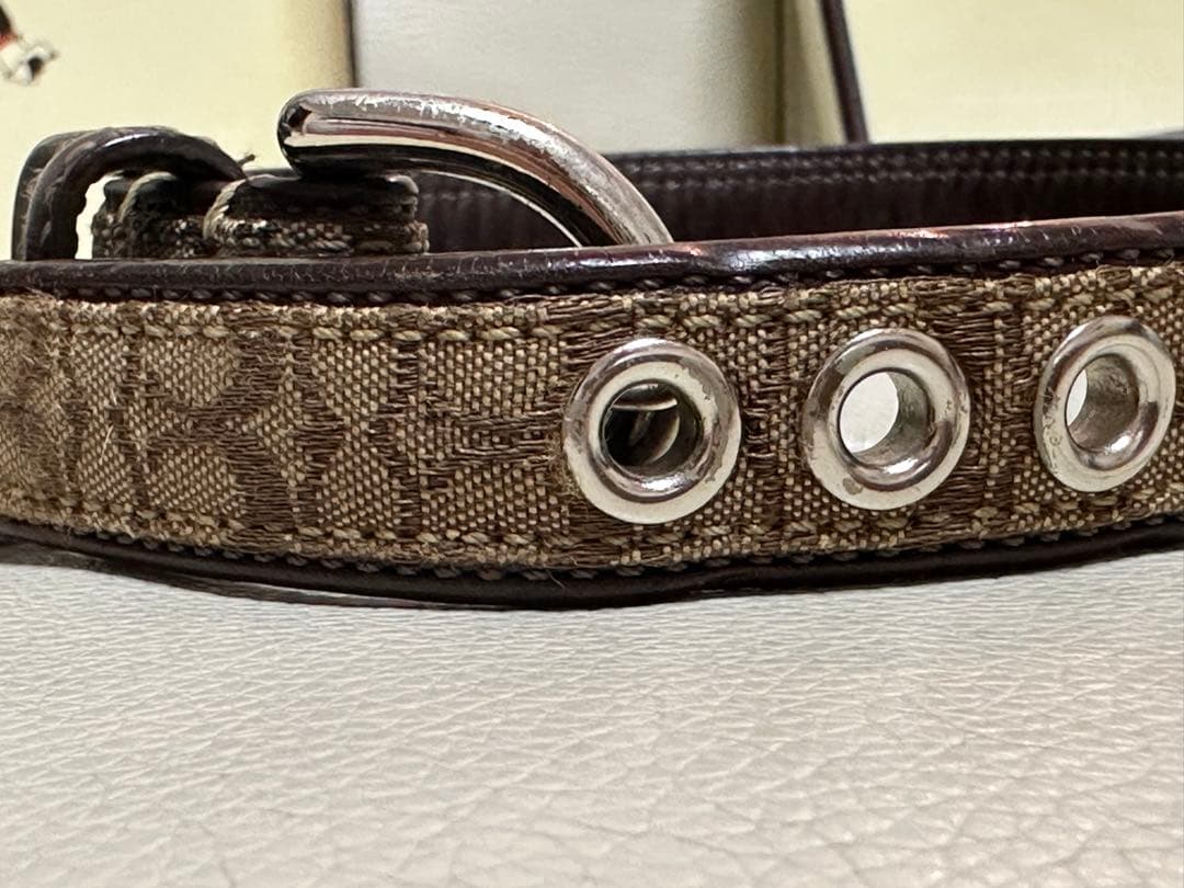 coach 犬首輪、リードセット　今だけ！最終値下げ♪