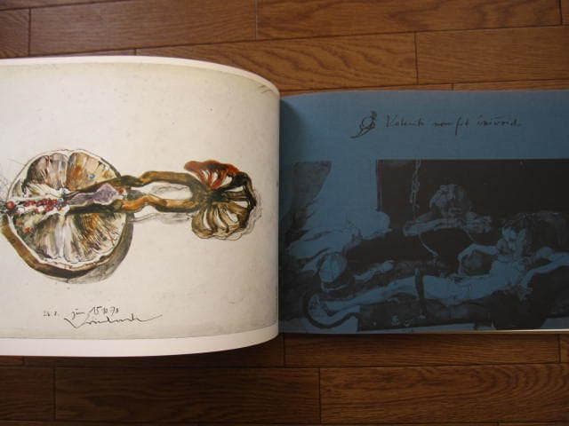 画集 Phyllis フュリス　Horst Janssen　ホルスト・ヤンセン