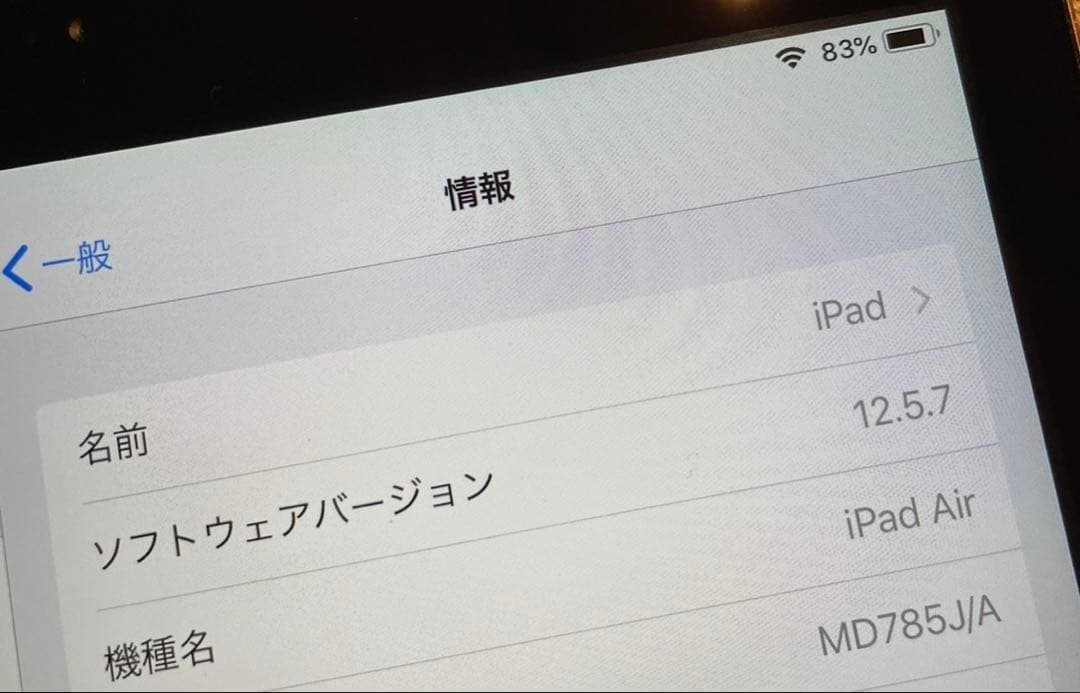 iPad本体 Apple iPad Air