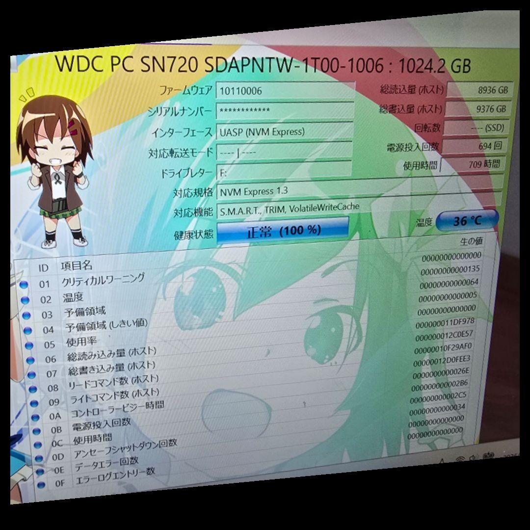 内蔵型SSD Western Digital SN720 NVMe SDAPNTW 1TB