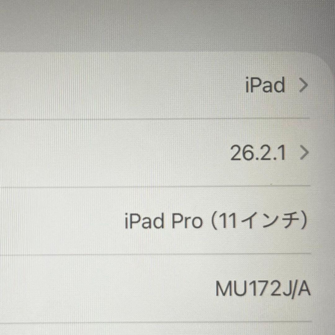 iPad Pro 11 2018+Pencil 256GB W+C 美品
