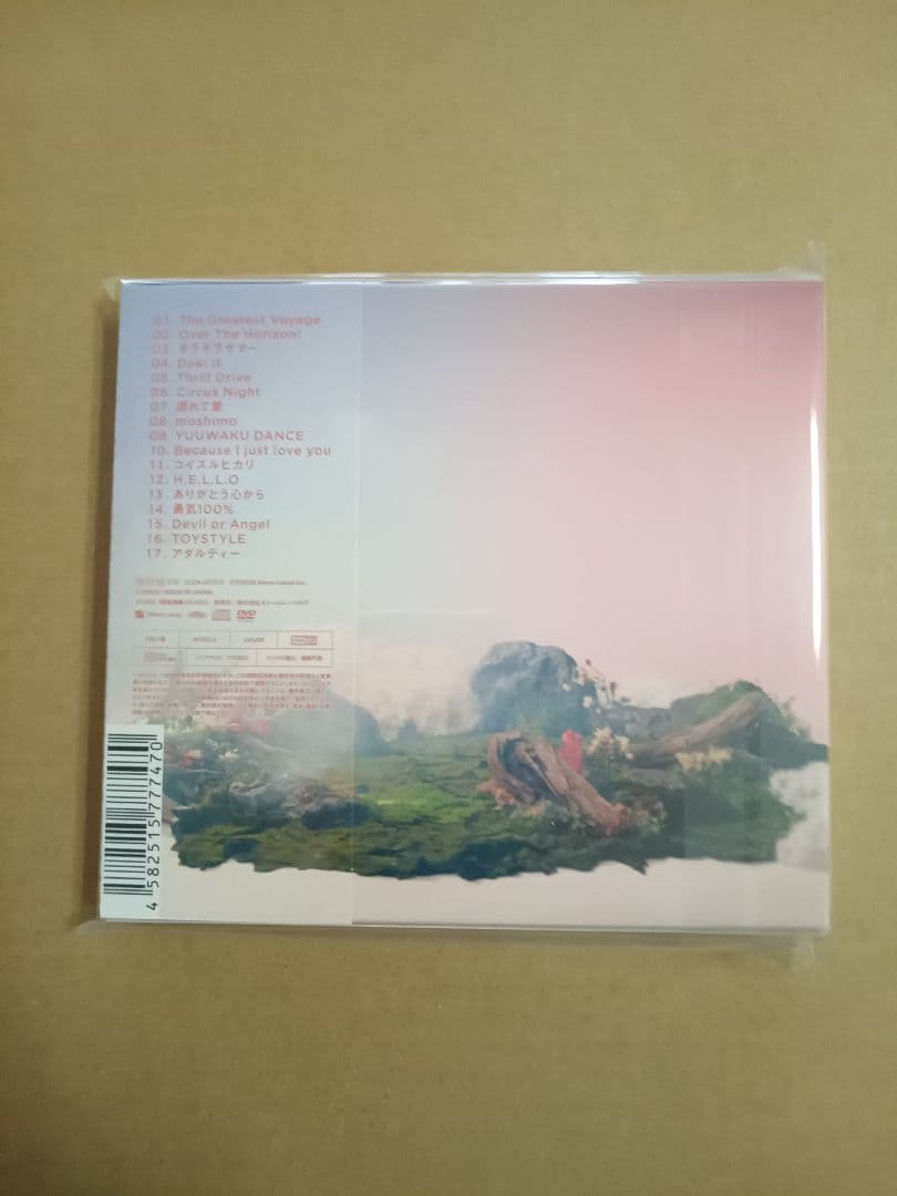 BON BON VOYAGE初回限定盤2DVD付