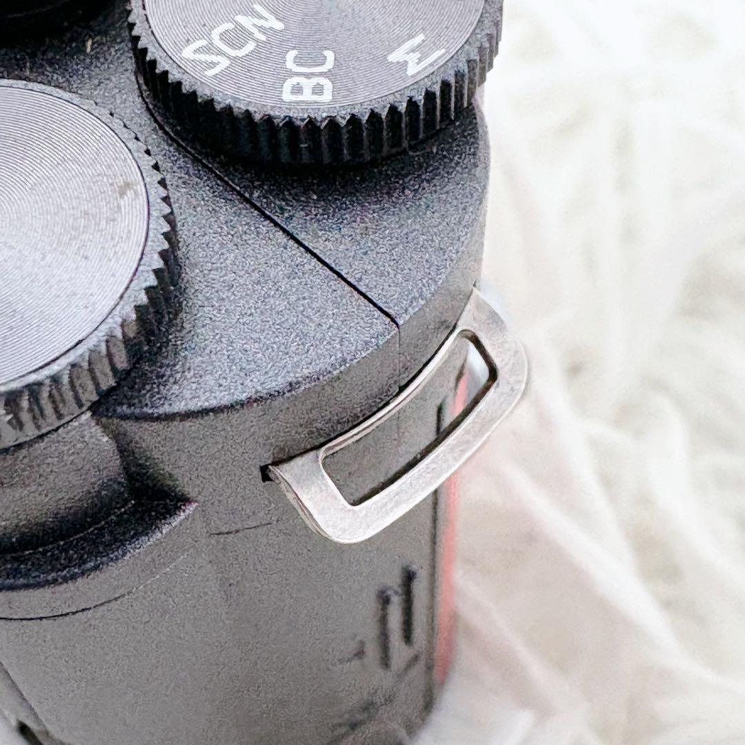 PENTAX ペンタックス Q-S1 ミラーレス一眼レフ ズームレンズキッド