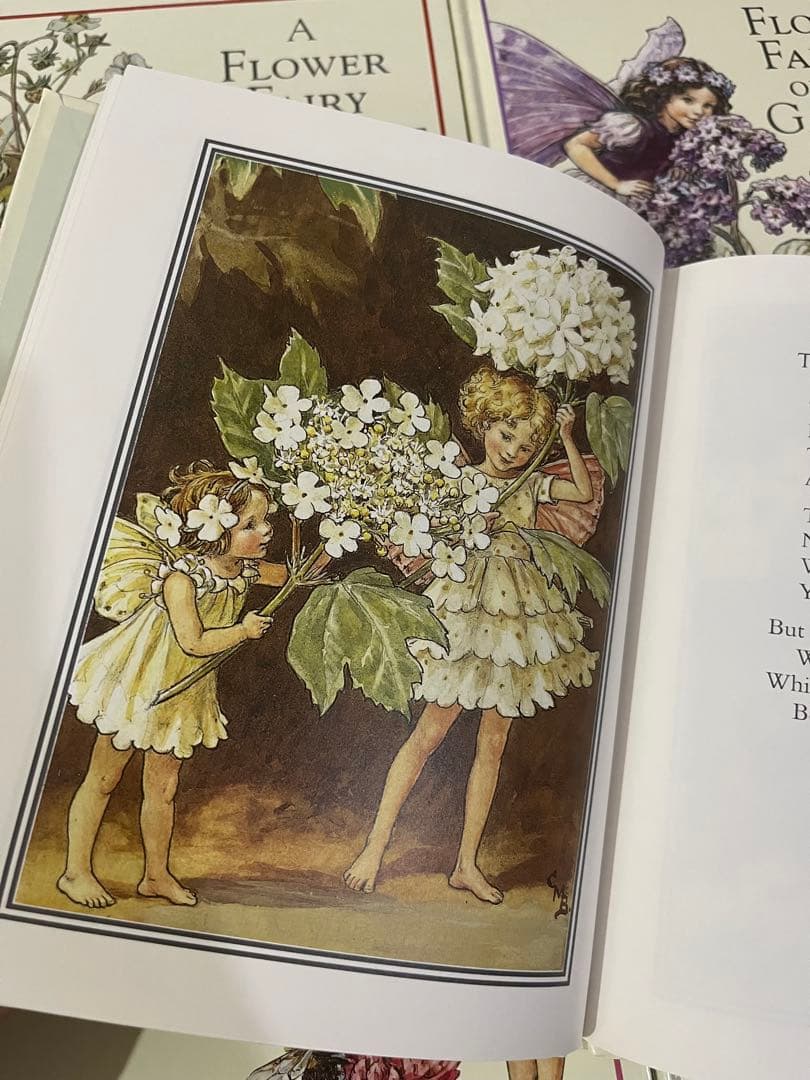 No.408 洋書 絵本 フラワーフェアリーズ 花の妖精