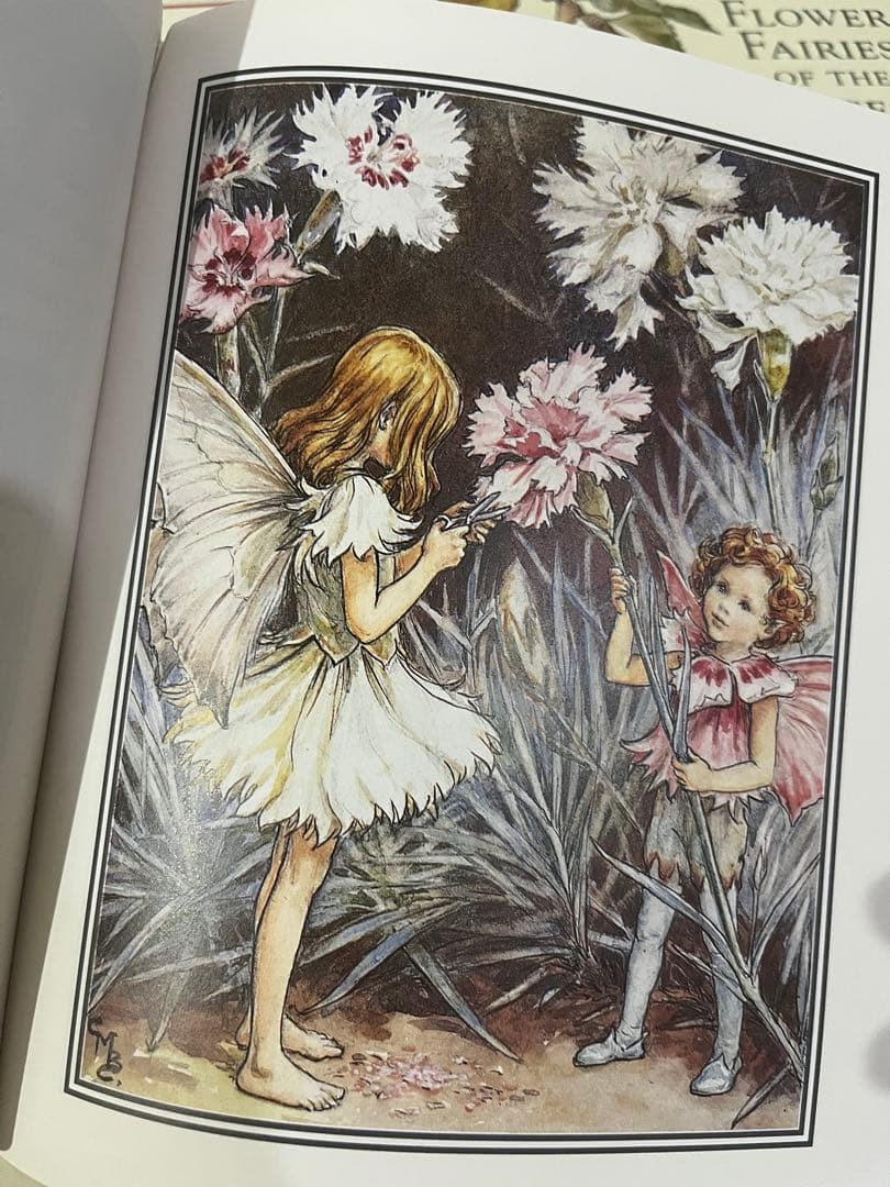 No.408 洋書 絵本 フラワーフェアリーズ 花の妖精