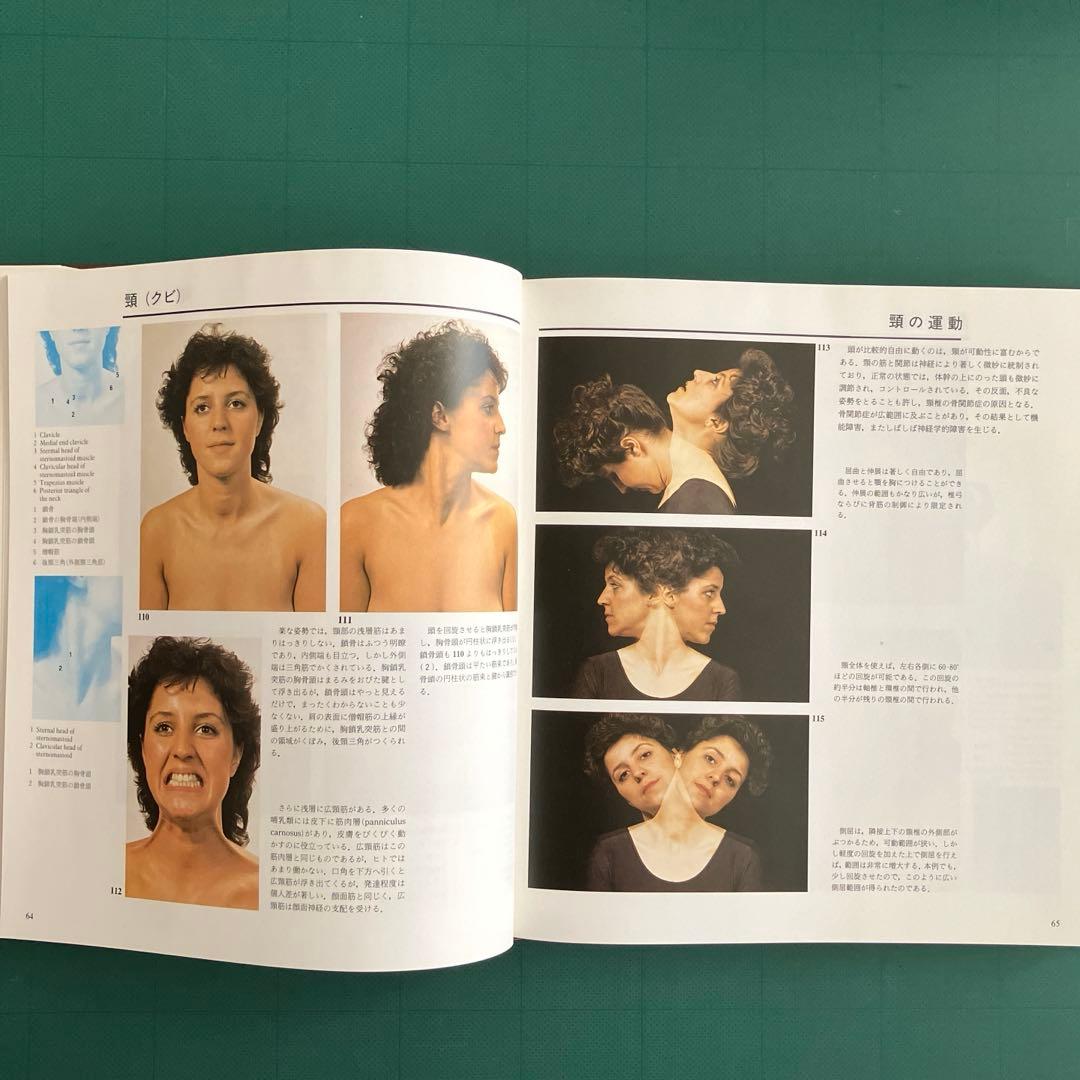 体表解剖カラーアトラス 東京医科歯科大学教授 佐藤達夫 監訳