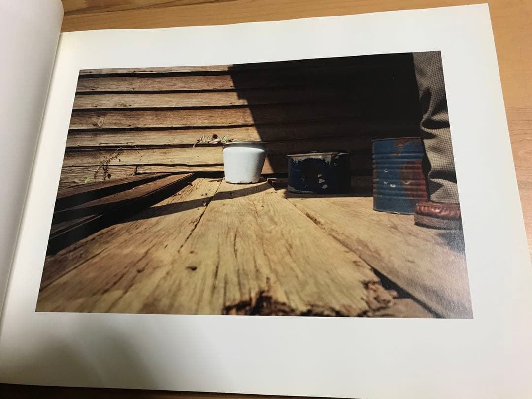 名作　William Eggleston Election Eve