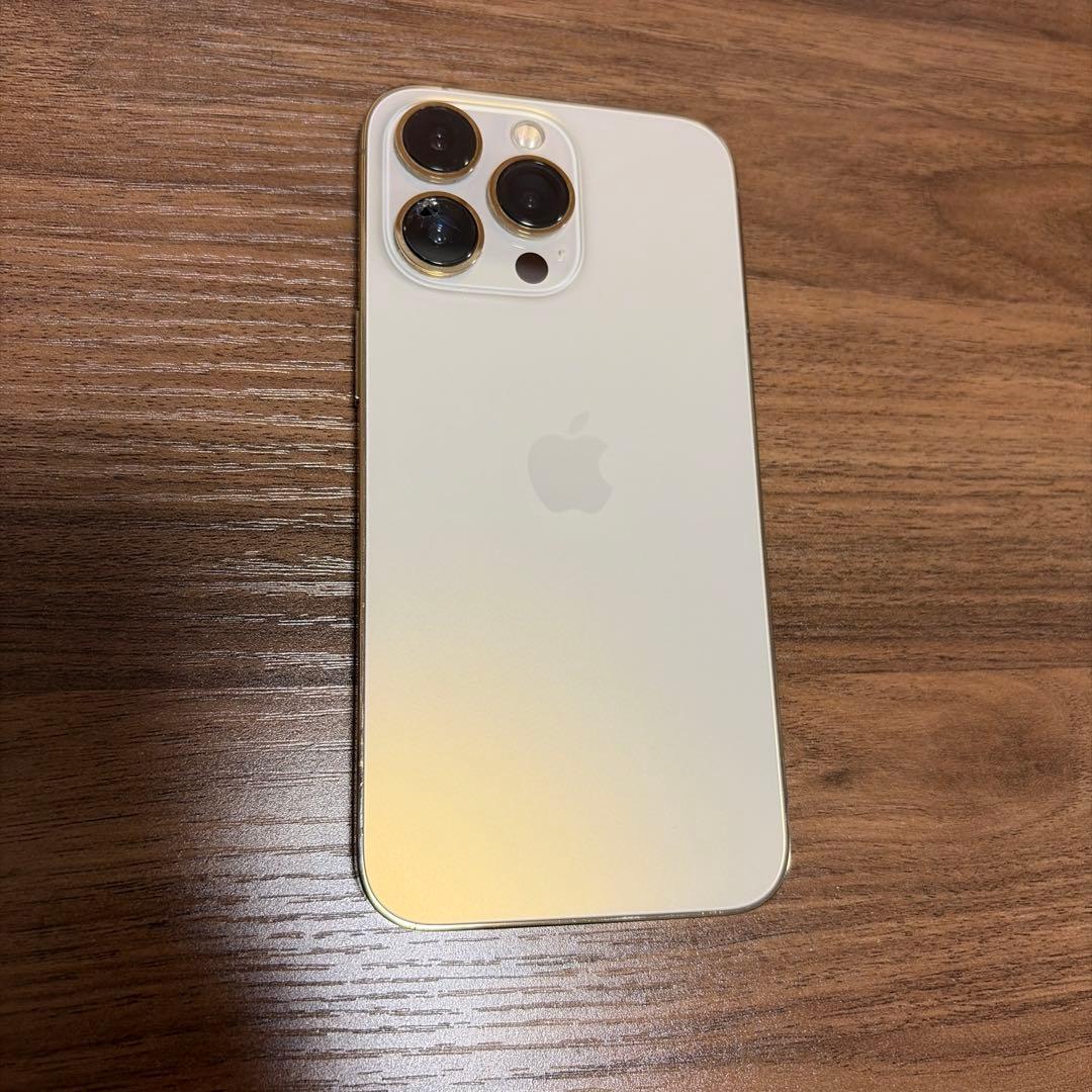 iPhone 13 Pro 256GB カメラ割れあり 撮影OK