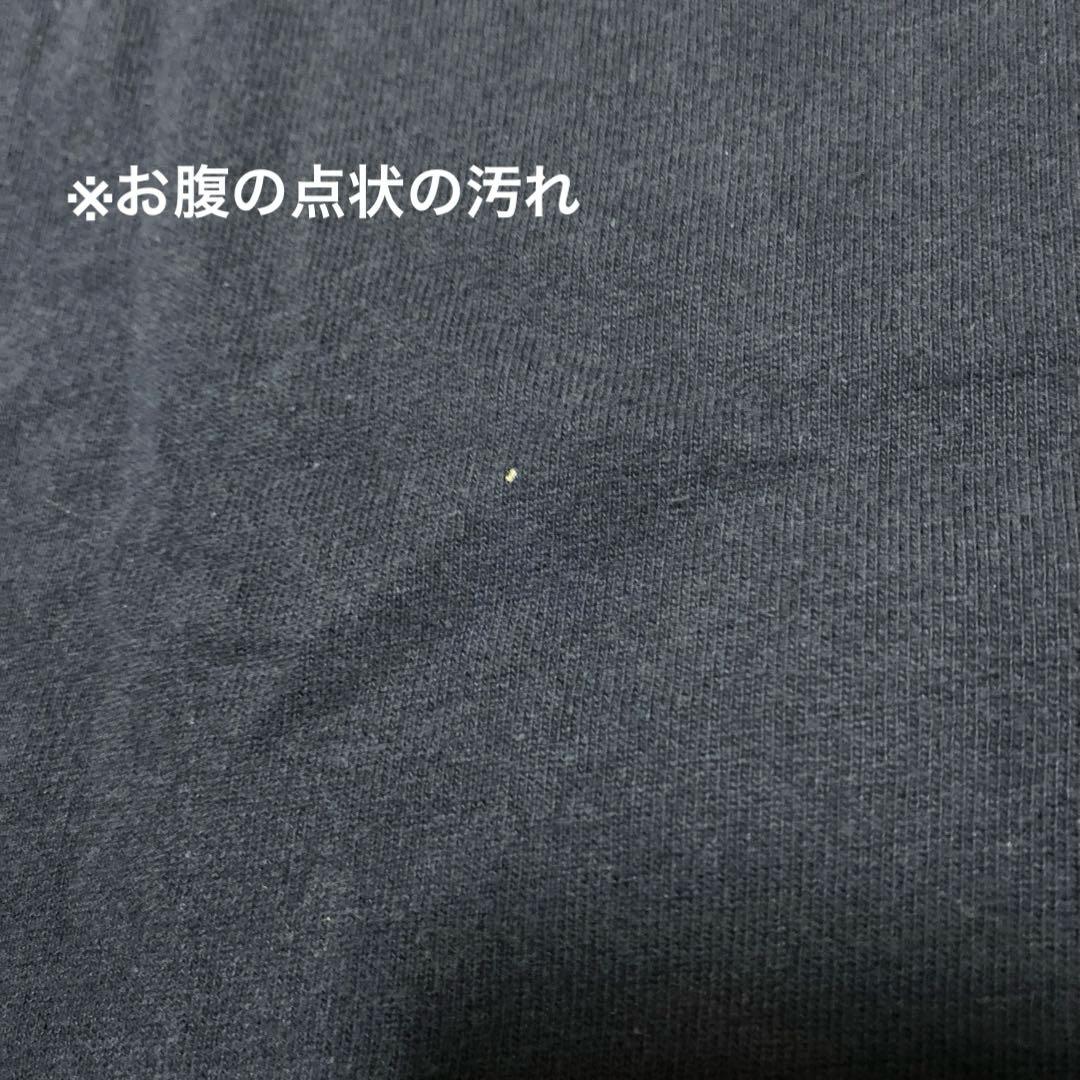 レア ヴィンテージ オリジナル championトリコタグ プリンストン 米国製