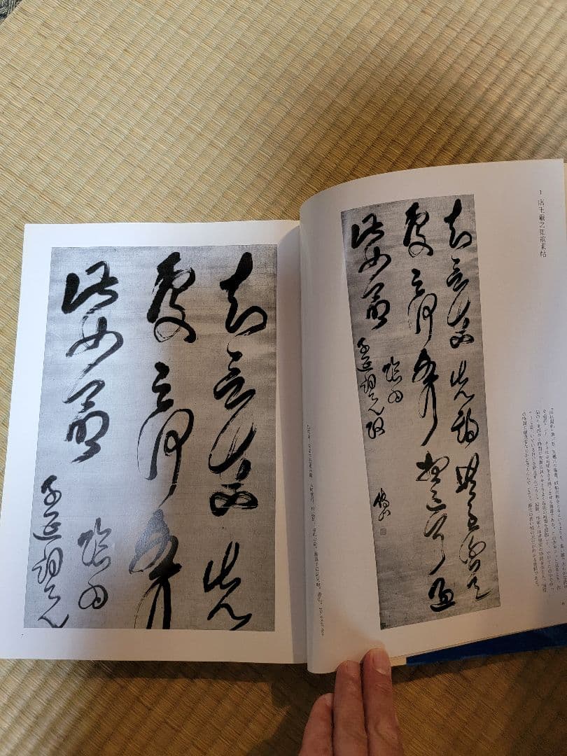 傳山の書法　山内観編