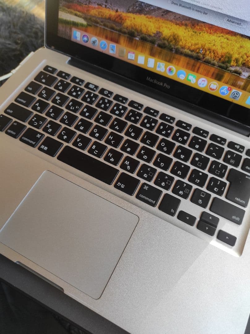 MacBook Pro シルバー macOS High Sierra 2010
