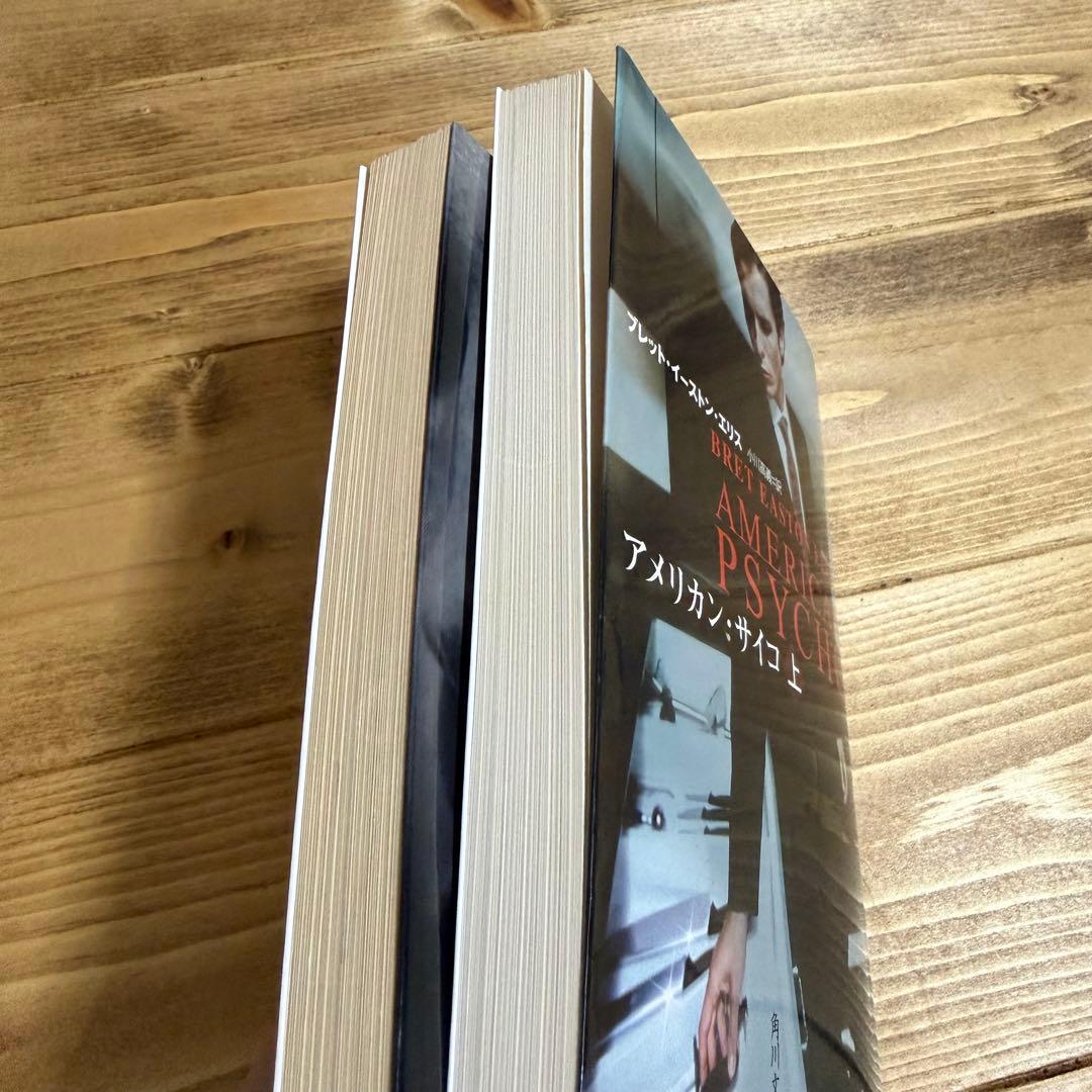 アメリカン・サイコ 上下巻 2冊セット 角川文庫 ブレット・イーストン・エリス