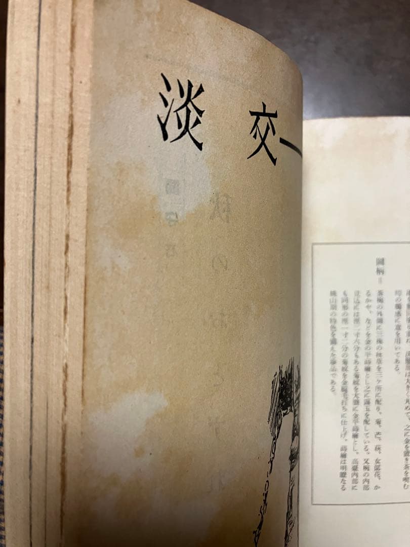 茶道誌　淡交　昭和29年9月号　グロピウス 西谷啓治 高坂正顯 久松真一 吉井勇