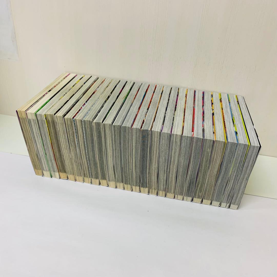 闇金ウシジマくん外伝 肉蝮伝説　全巻セット　1～24巻セット