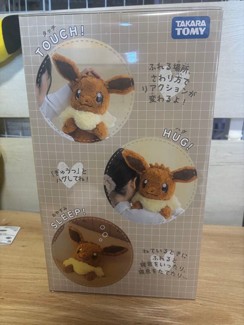おうちにポケモン イーブイ