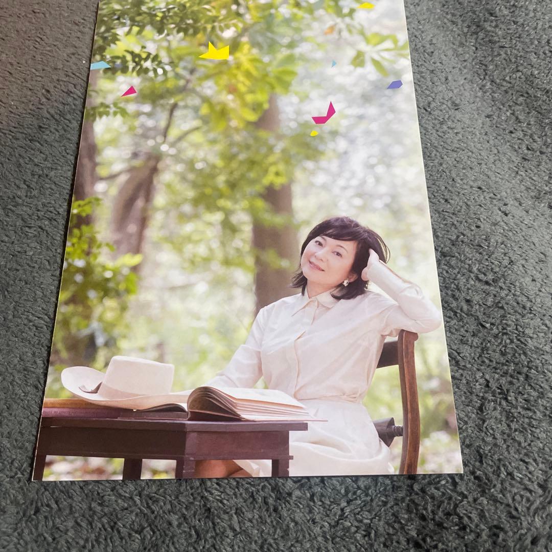 雨女の恩返し tutumikko 2014 LIVE [DVD]