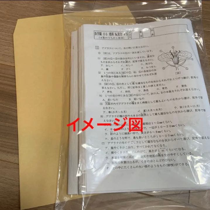 浜学園　小6　算数　Vクラス　復習テスト　実力テスト〜No.39　解答解説付き